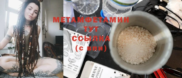 сатива Коряжма
