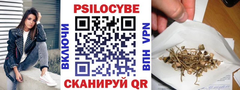 Псилоцибиновые грибы Psilocybe Чегем